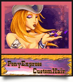 Pony Express Custom Hair